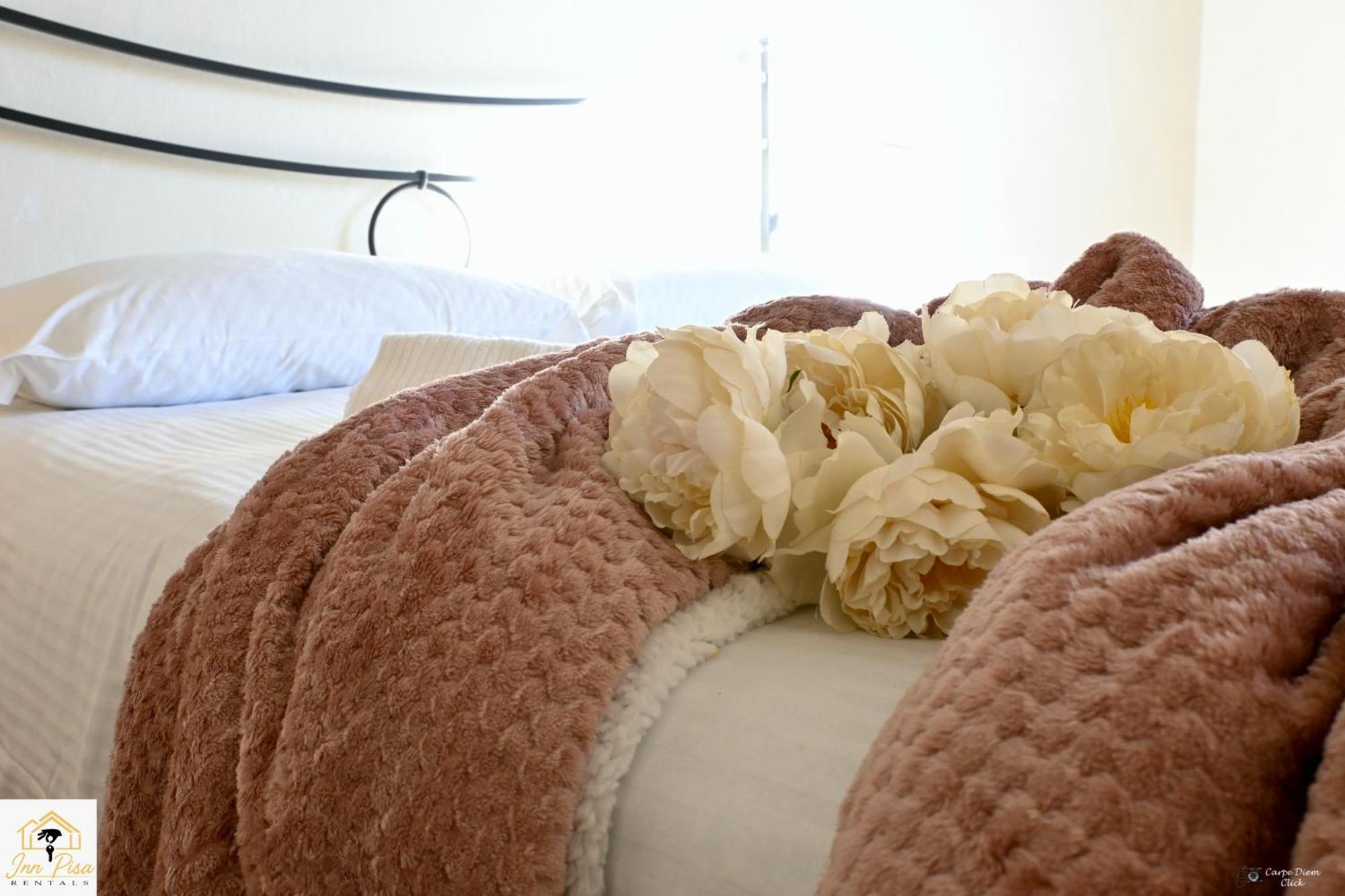 Inn Pisa Rentals 2- San Francesco Flat ภายนอก รูปภาพ